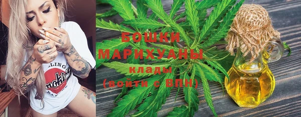 сатива Алексеевка