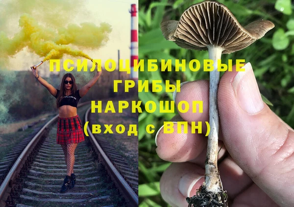сатива Алексеевка